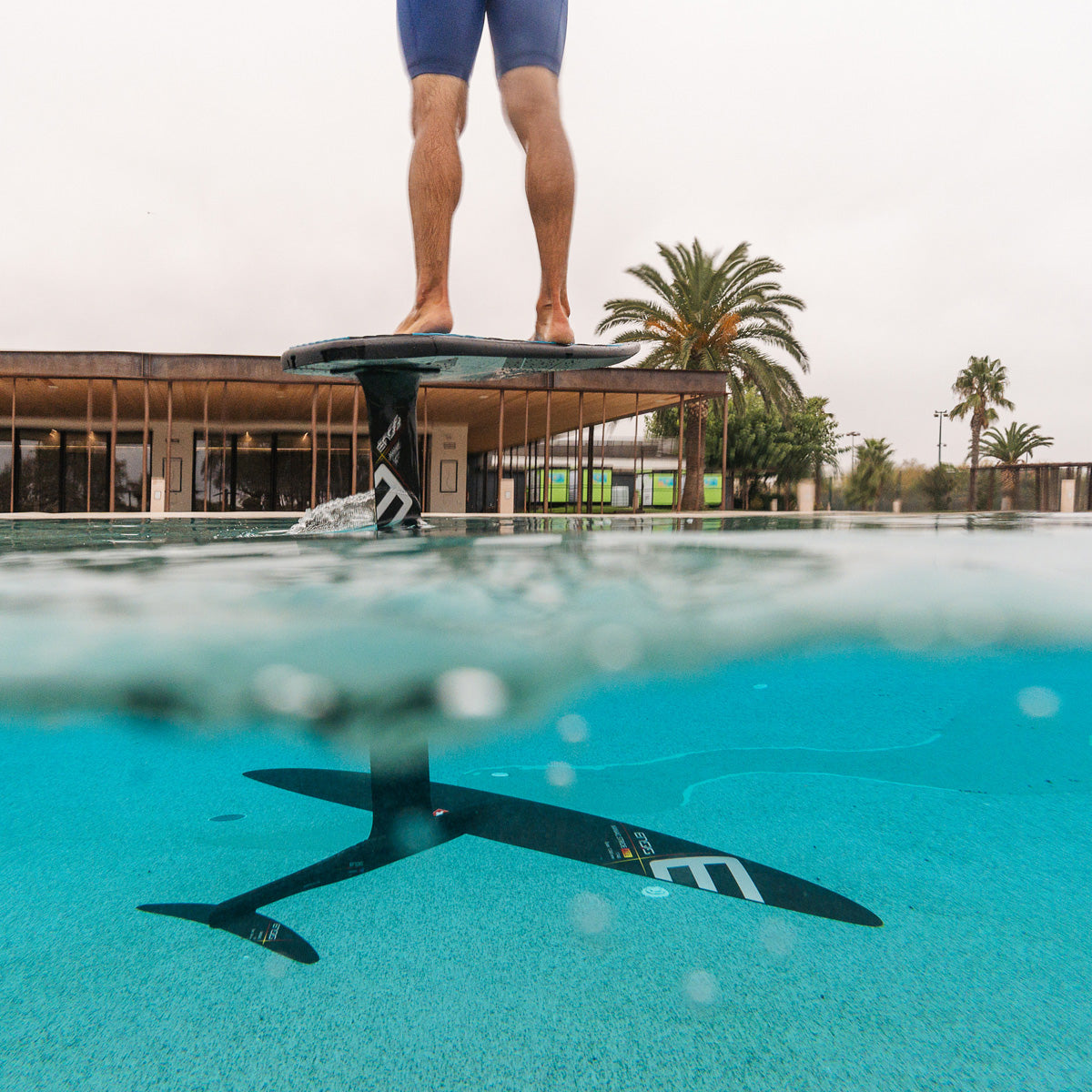 Ensis Maniac Stride Foil