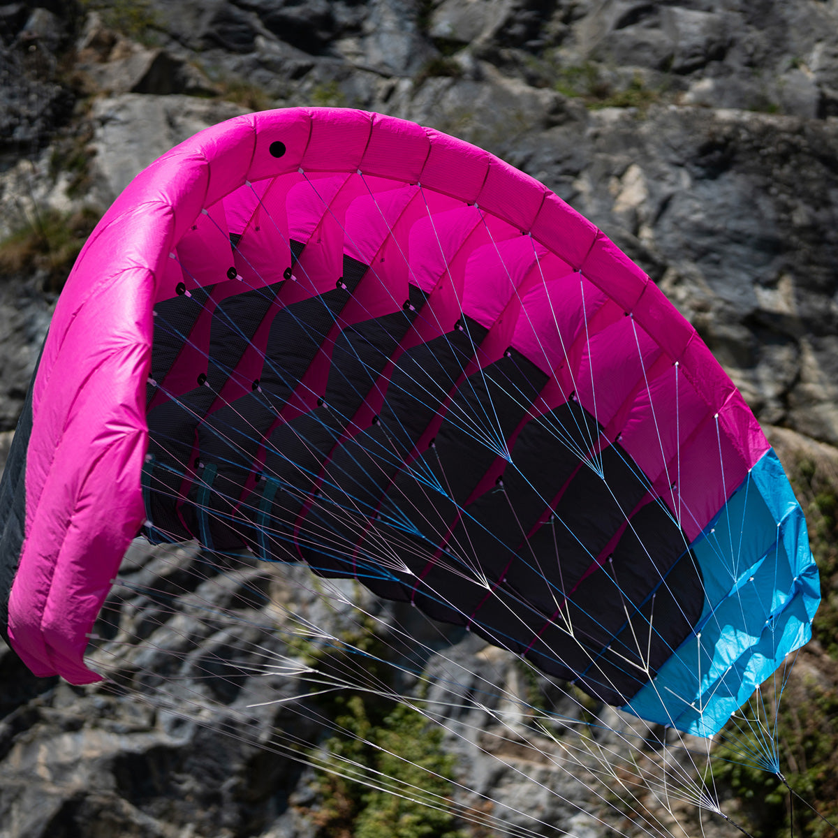 Ensis Roger / MBS All-Terrain Board Package