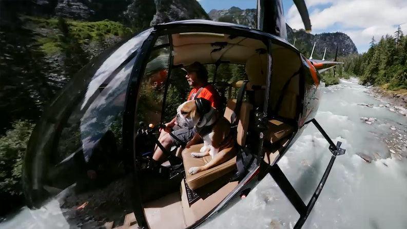 GoPro Max 360 - Kiteshop.com