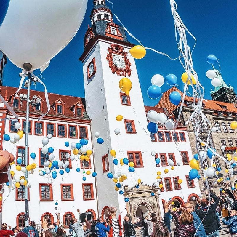 GoPro Head Strap Mount 2.0 - Kiteshop.com