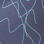 ION Vector Vest Core