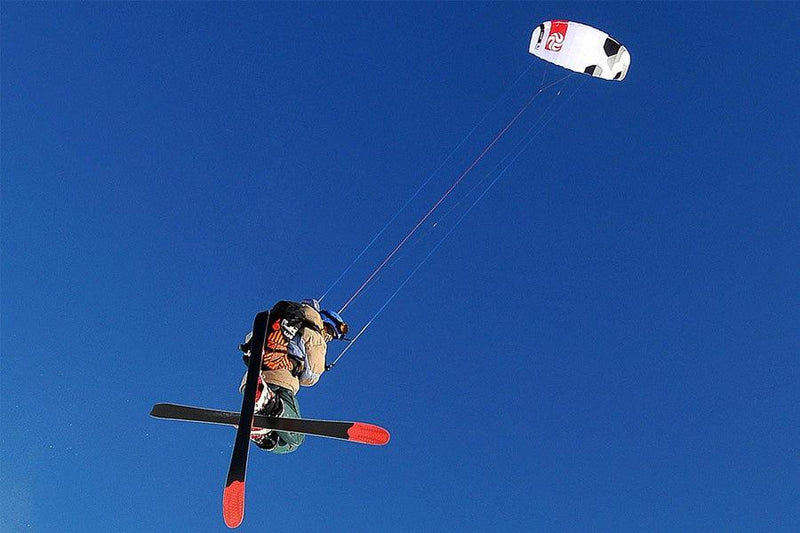 Peter Lynn Lynx - Kiteshop.com