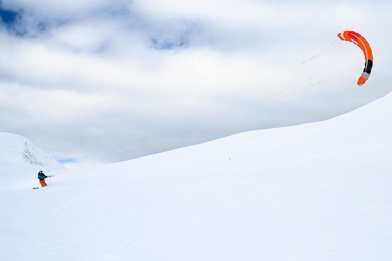 Peter Lynn Lynx - Kiteshop.com