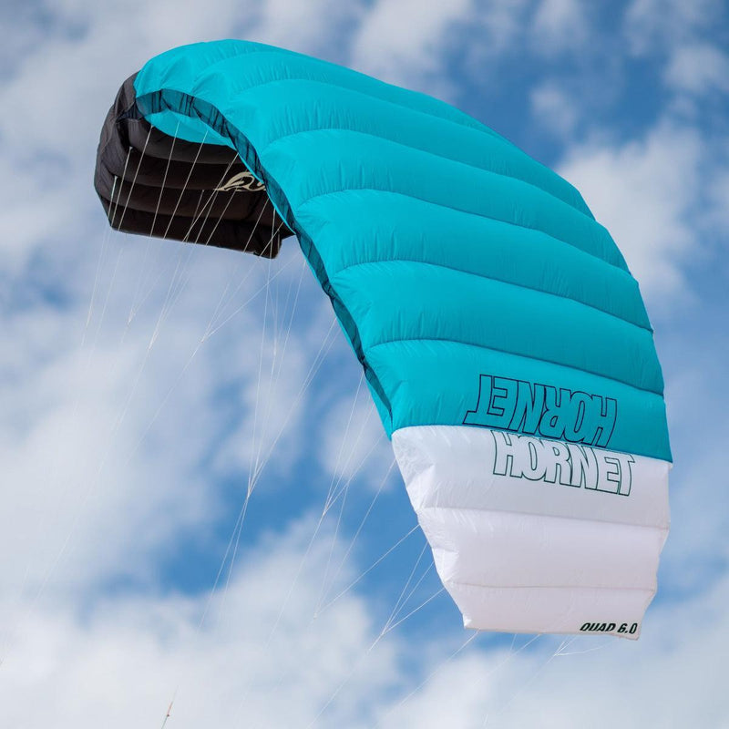 Peter Lynn Hornet - Kiteshop.com