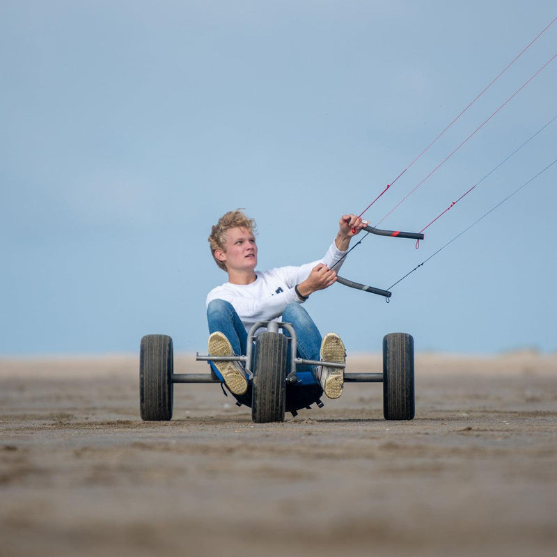 Peter Lynn Hornet - Kiteshop.com