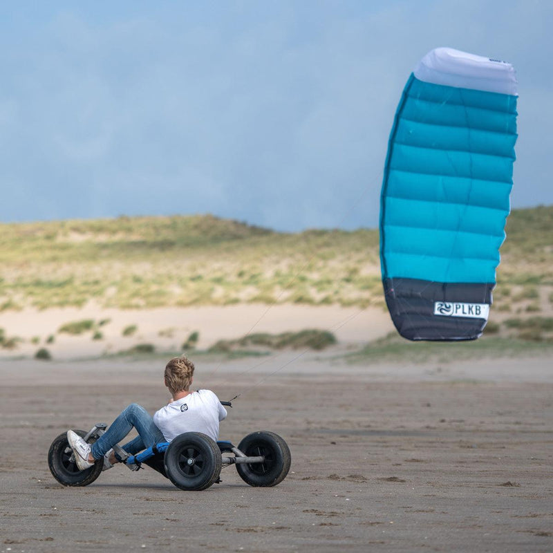 Peter Lynn Hornet - Kiteshop.com