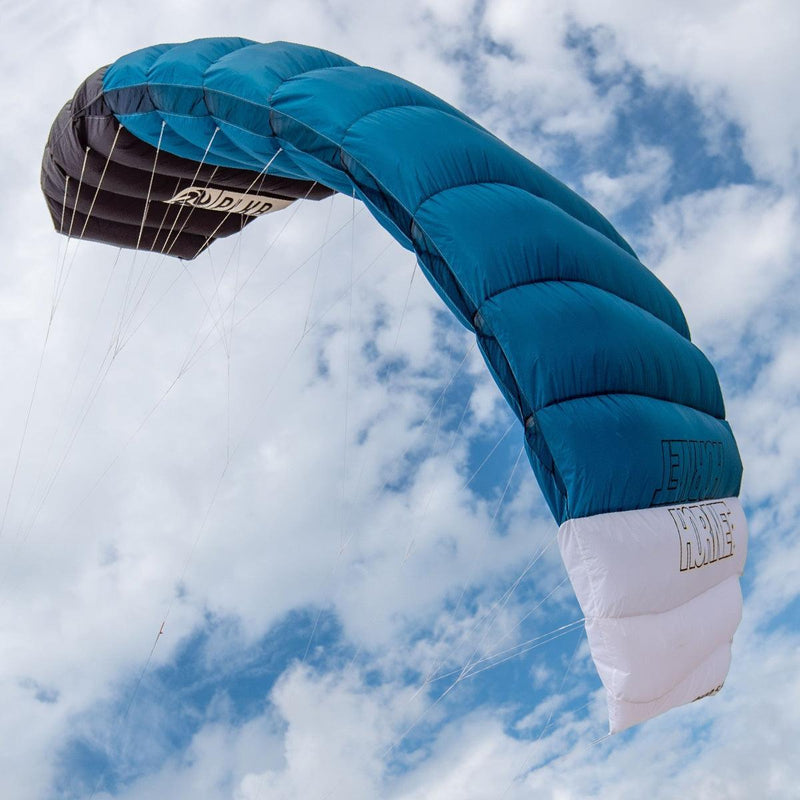 Peter Lynn Hornet - Kiteshop.com