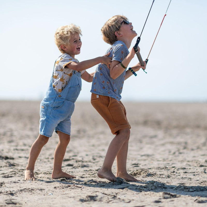 Peter Lynn Hype Trainer - Kiteshop.com