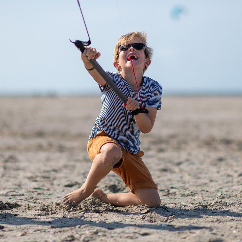 Peter Lynn Hype Trainer - Kiteshop.com